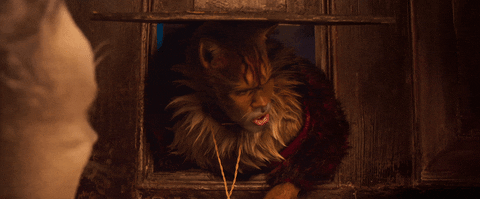 The \u0027Cats\u0027 Movie Reviews and Reactions Are So Brutal